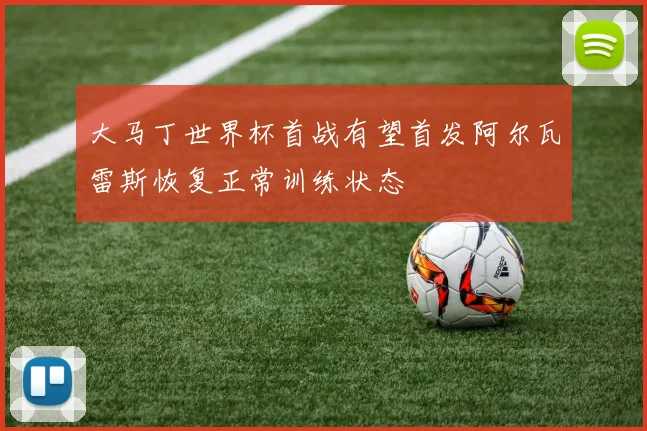 大马丁世界杯首战有望首发阿尔瓦雷斯恢复正常训练状态