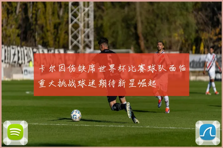 卡尔因伤缺席世界杯比赛球队面临重大挑战球迷期待新星崛起